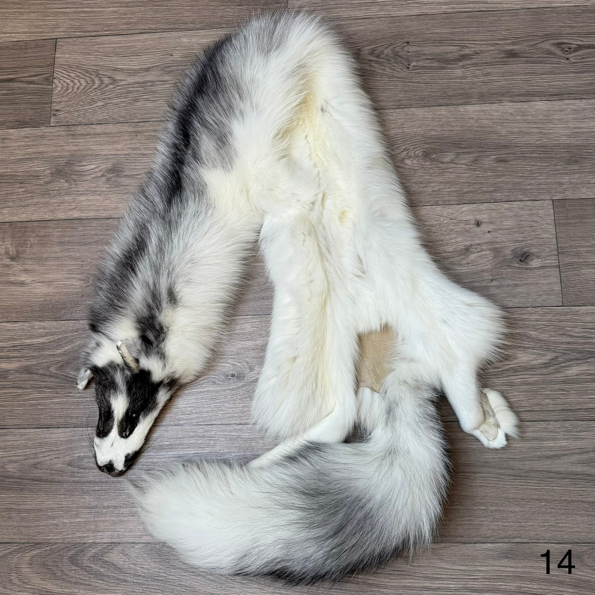 Marble Frost fox pelt (14)