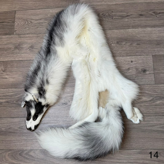 Marble Frost fox pelt (14)