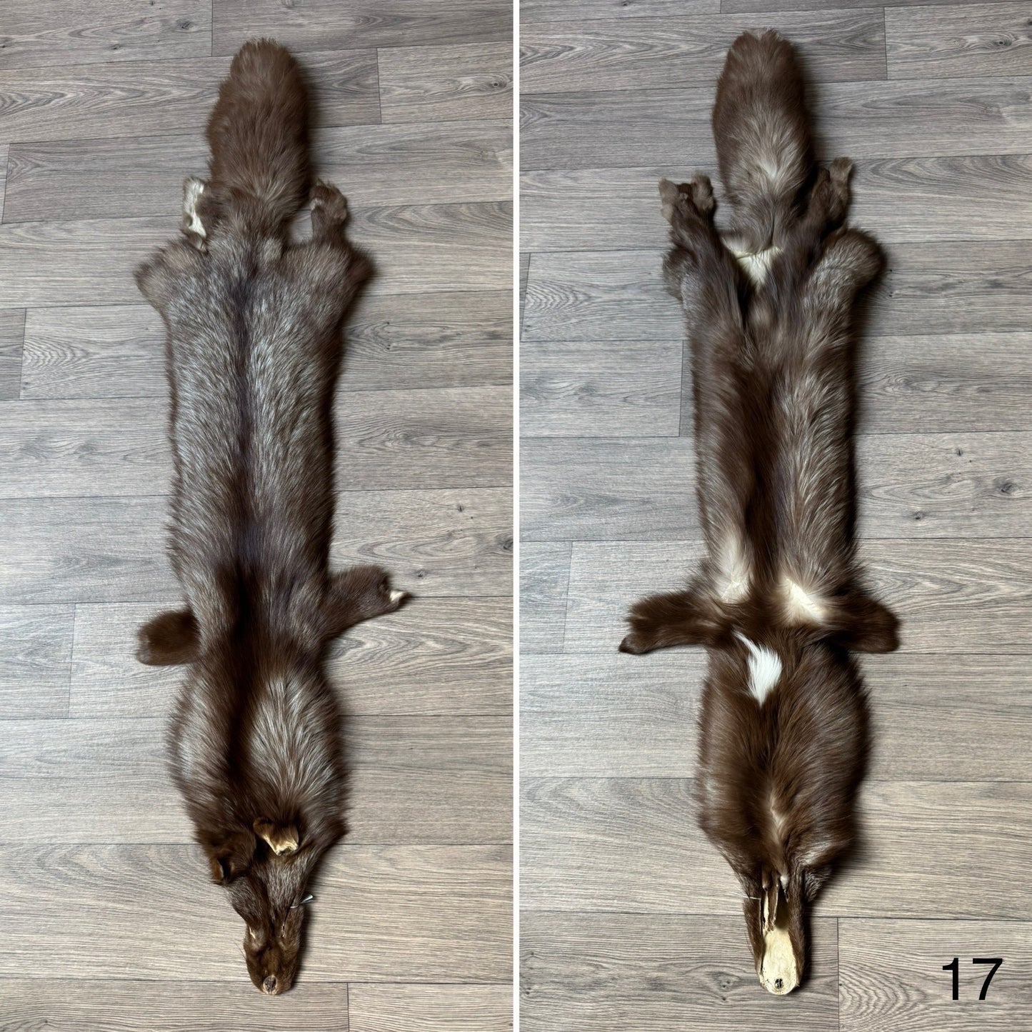 Burgundy fox pelt (17)