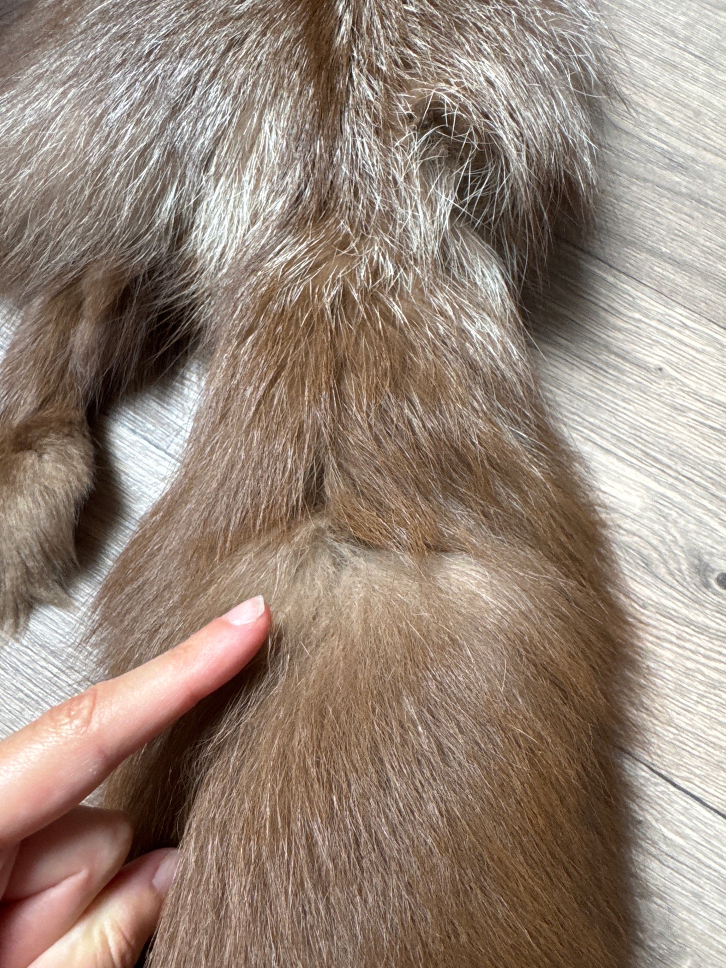 Burgundy fox pelt (15)