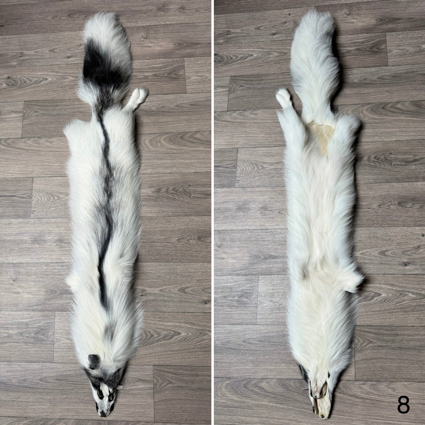 Cross Marble fox pelt (8)