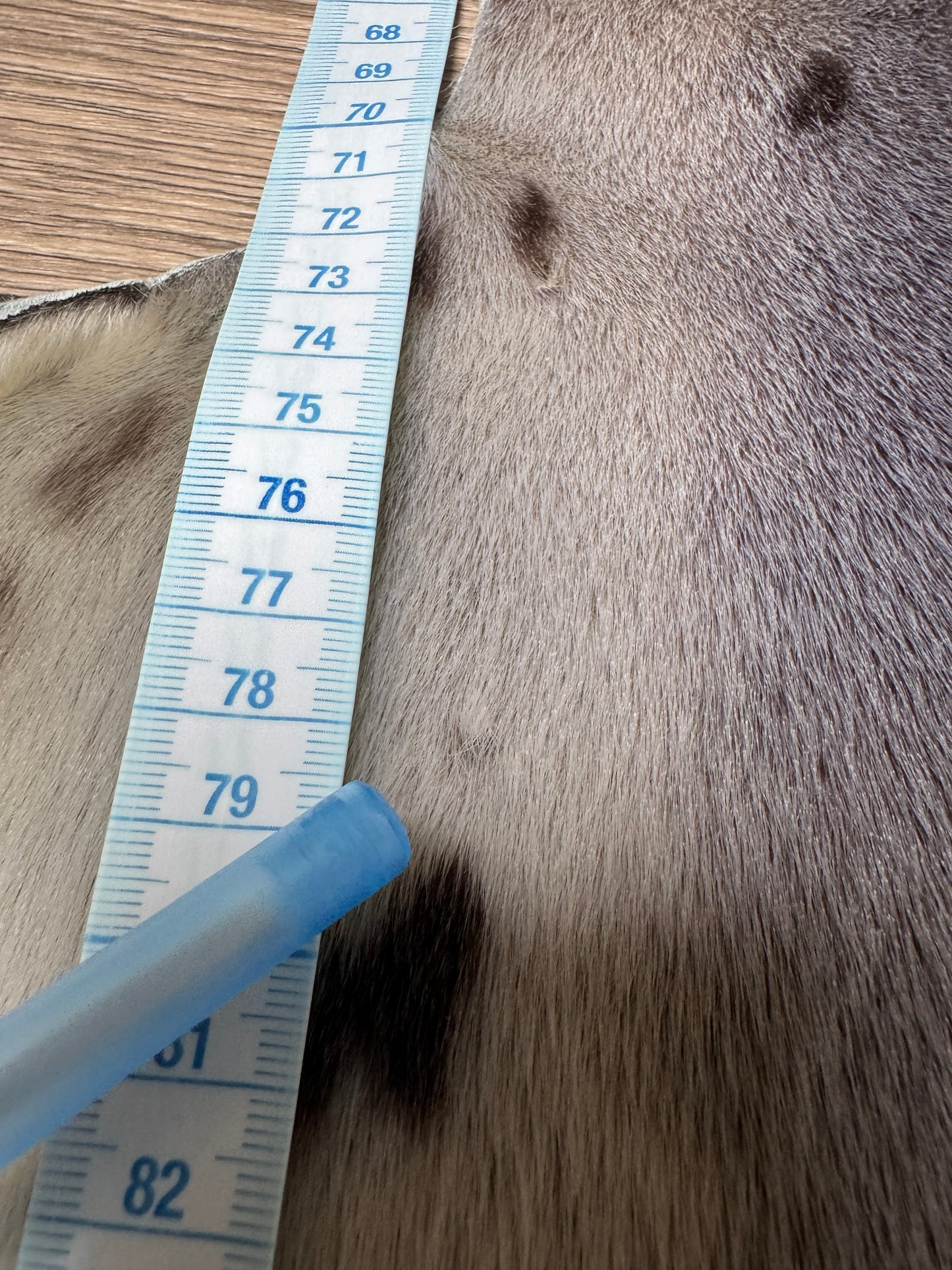 Harp seal skin (3)