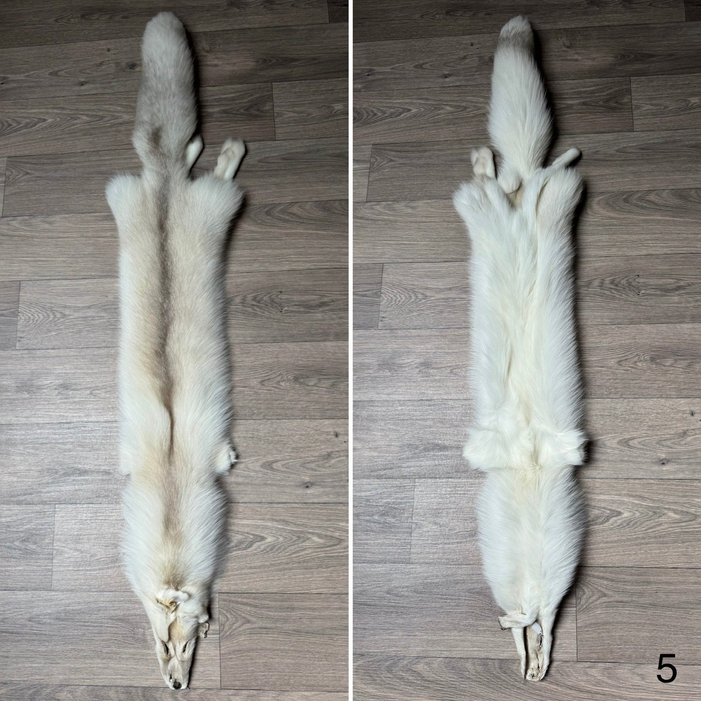 Fawn Light fox pelt (5)
