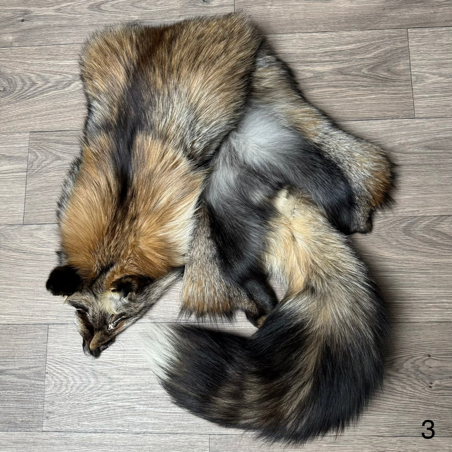 Smokey fox pelt (3)
