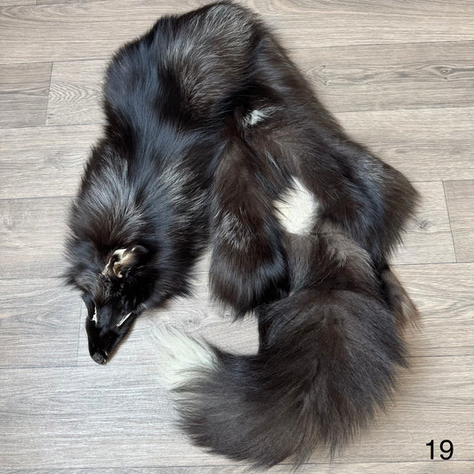 Silver fox pelt (19)