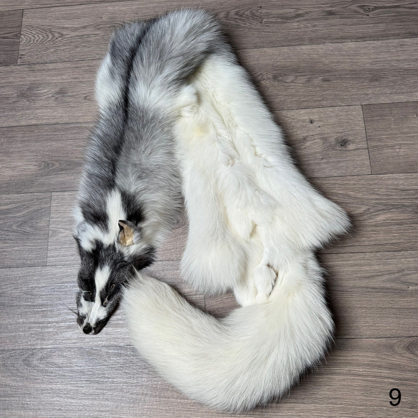 Marble Frost fox pelt (9)
