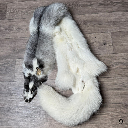 Marble Frost fox pelt (9)