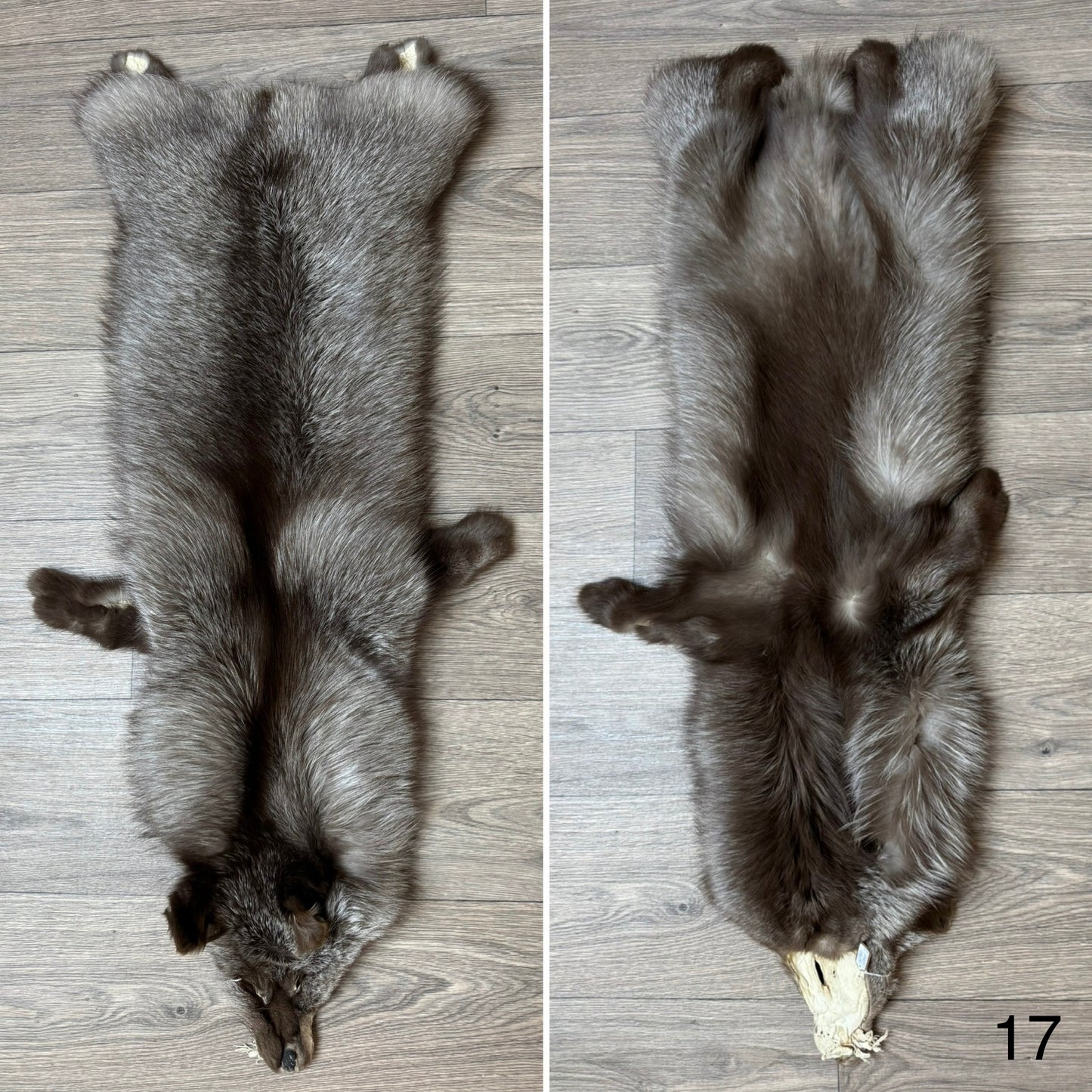 Polish Pastel fox pelt (17)