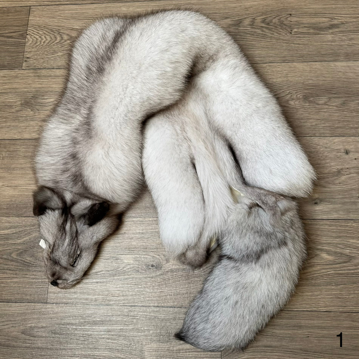 Blue fox pelt (1)