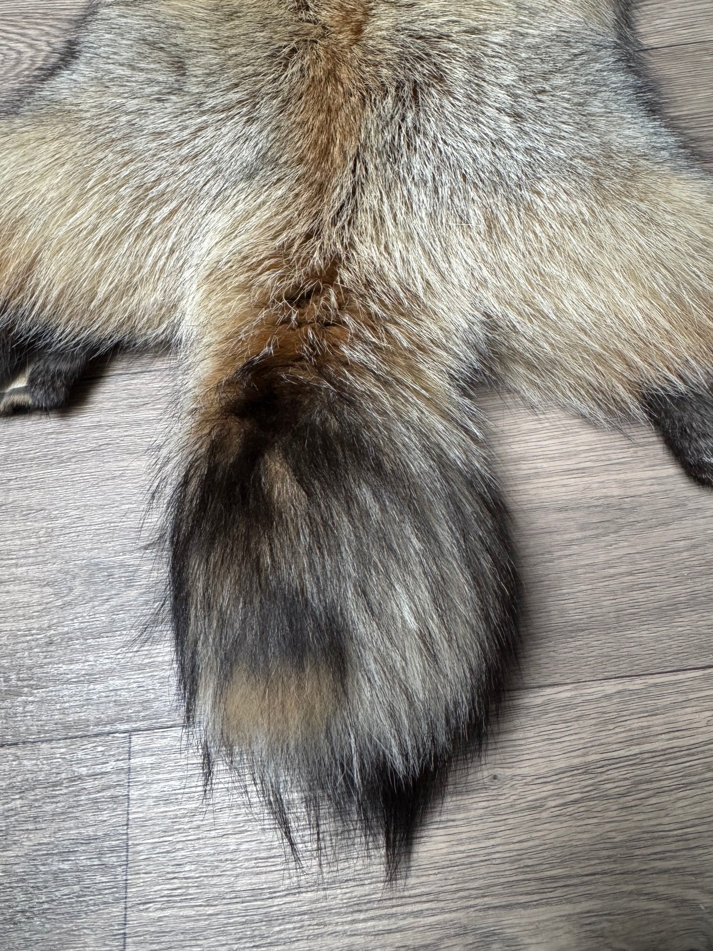 Smokey fox pelt (15)