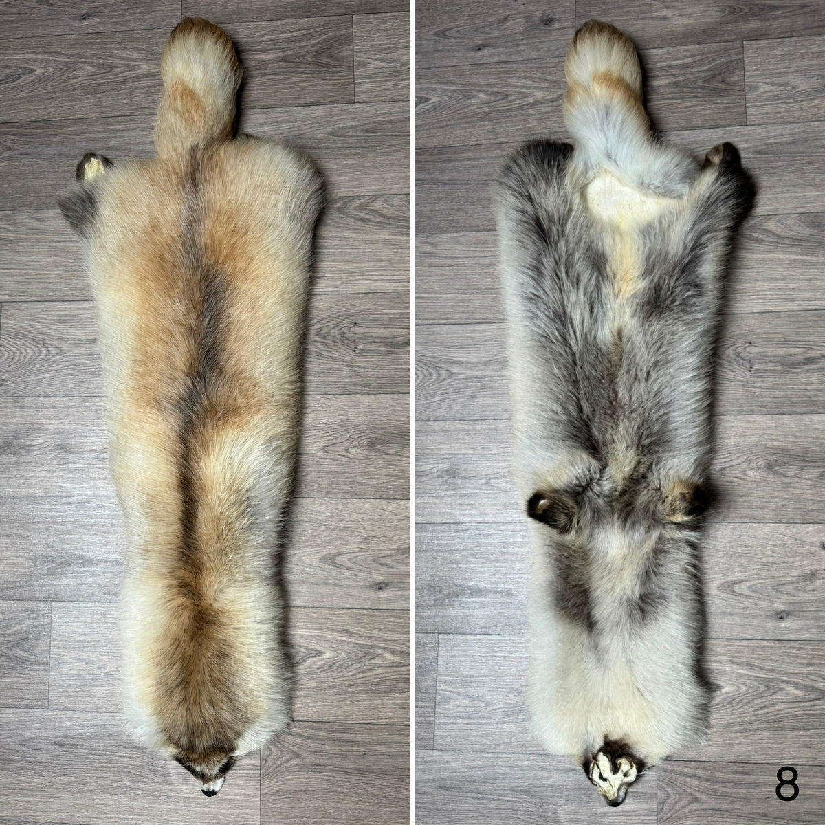 Arctic tanuki pelt (8)