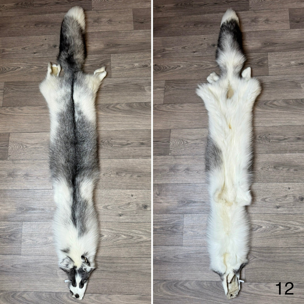 Marble Frost fox pelt (12)