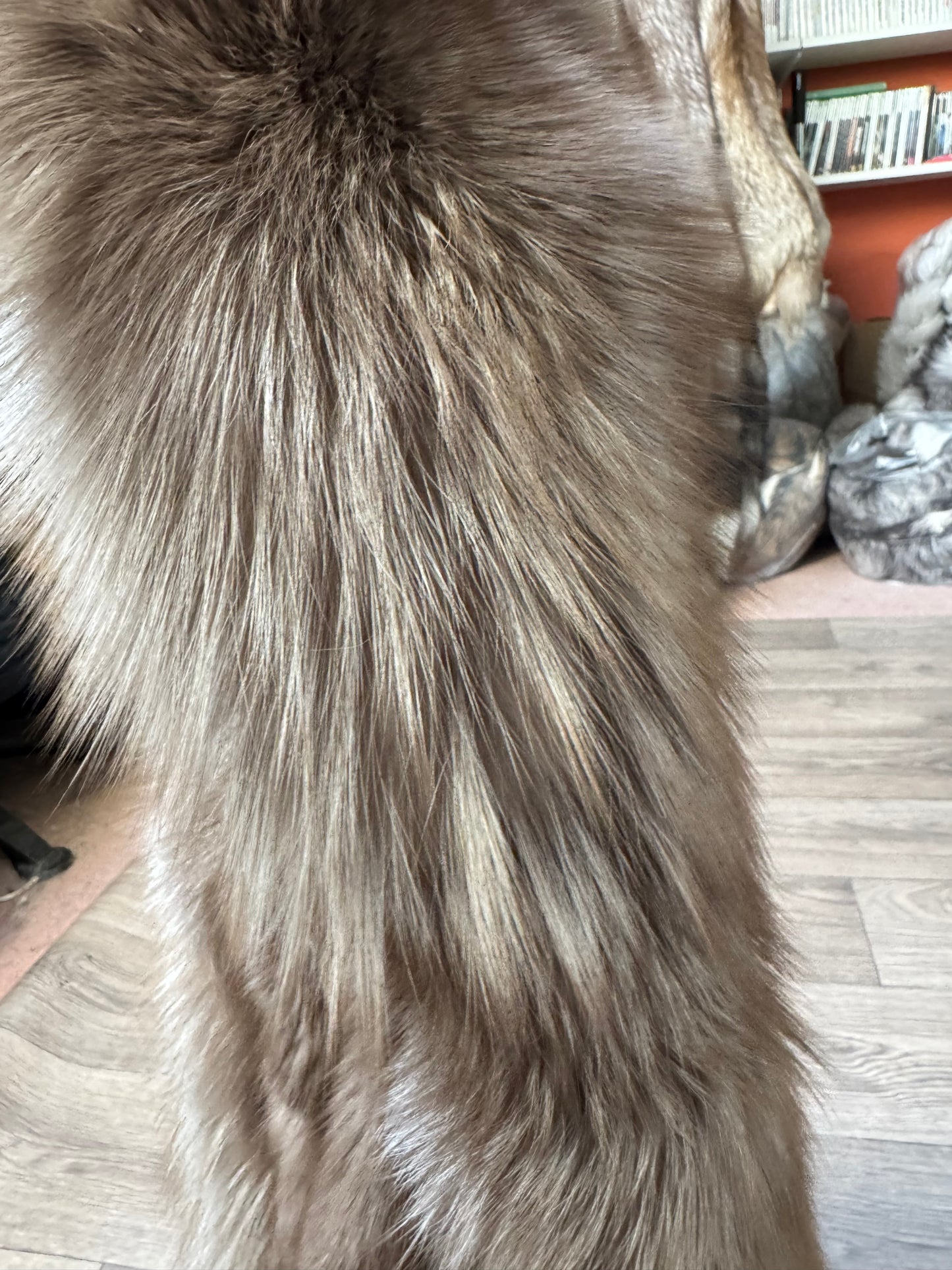 Polish Pastel fox pelt (13)