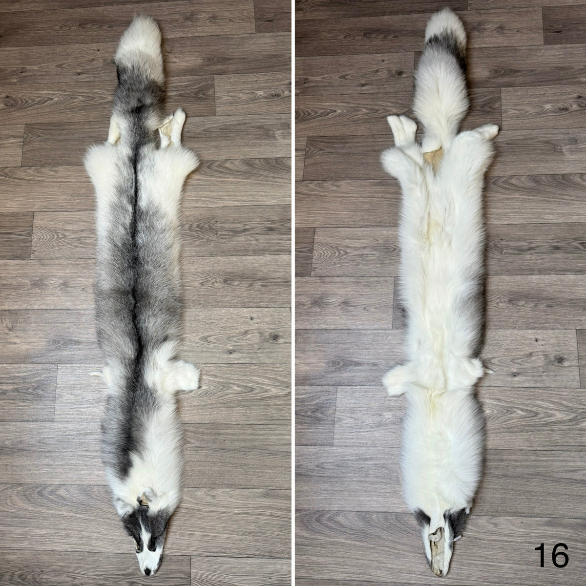 Marble Frost fox pelt (16)