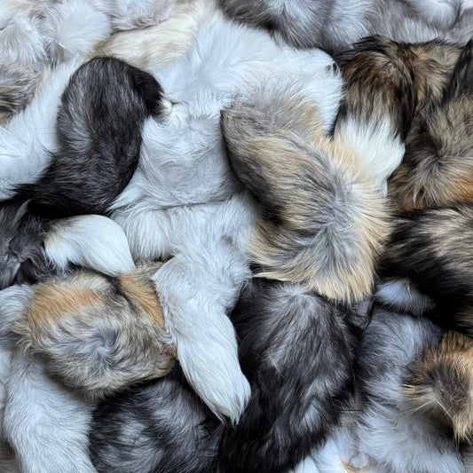B grade tails