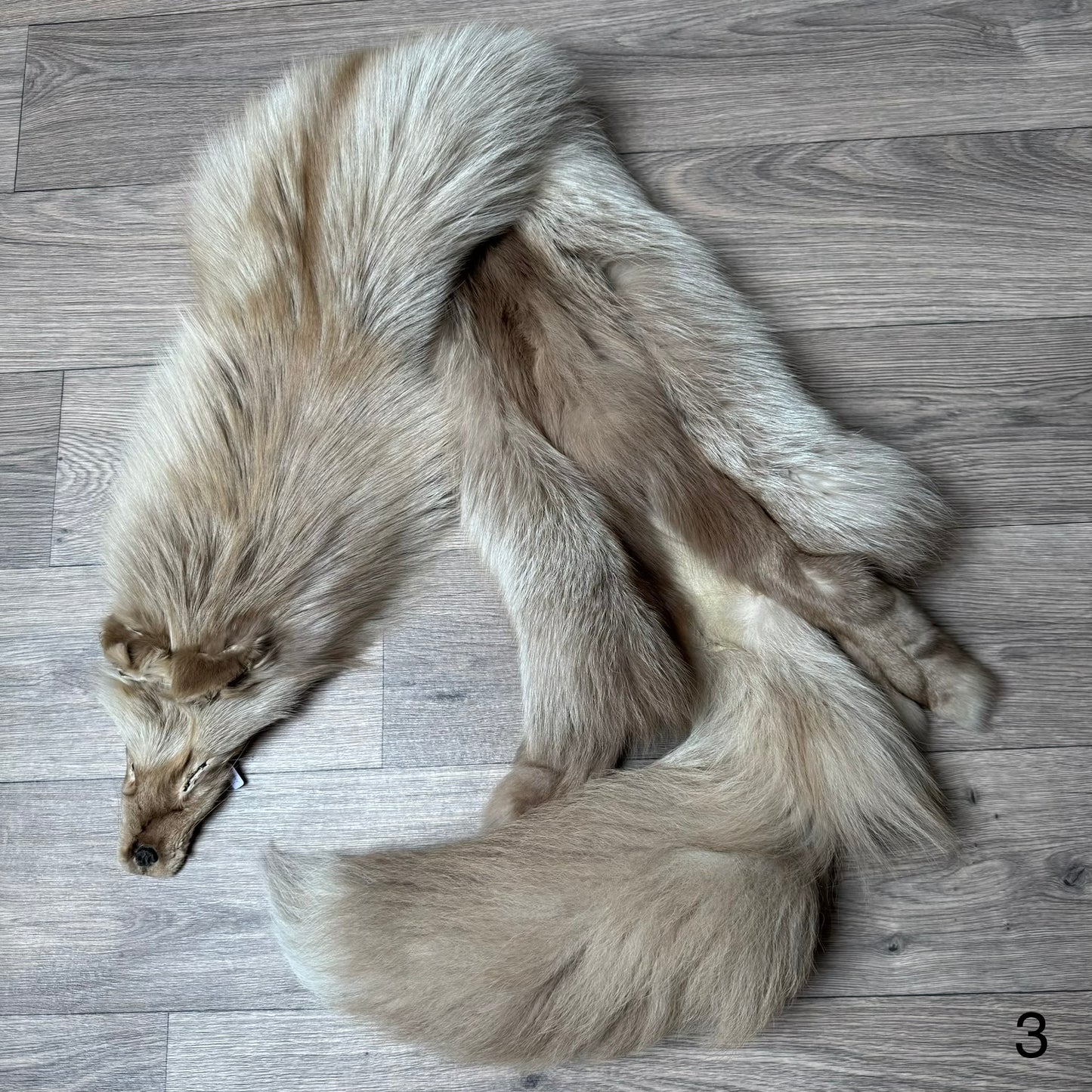 Amber fox pelt (3)