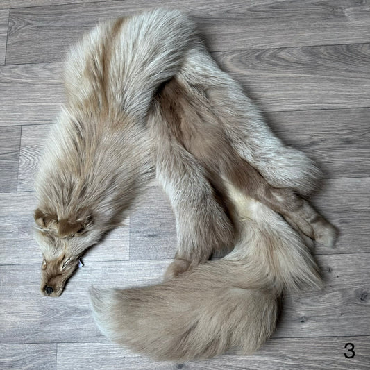 Amber fox pelt (3)