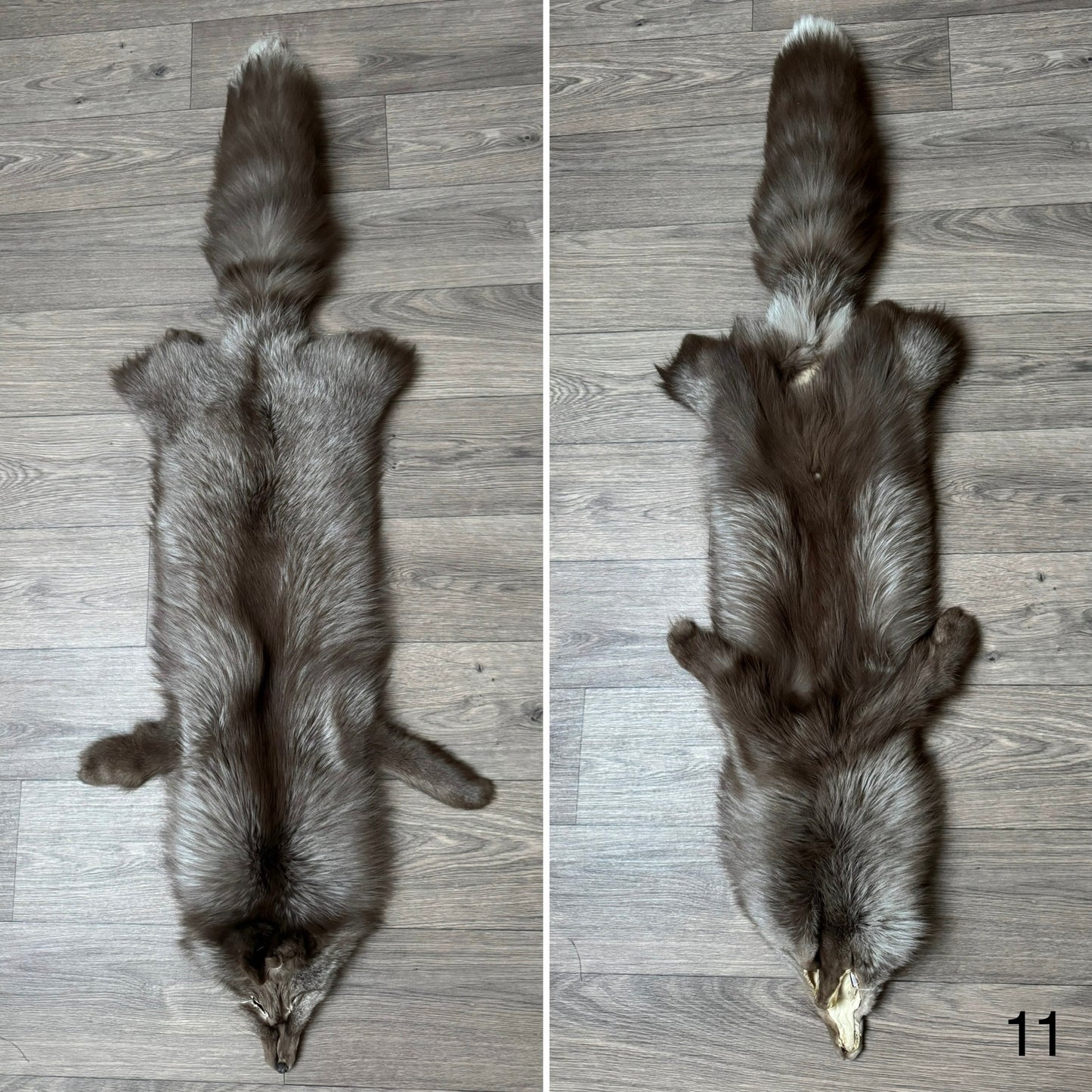 Polish Pastel fox pelt (11)