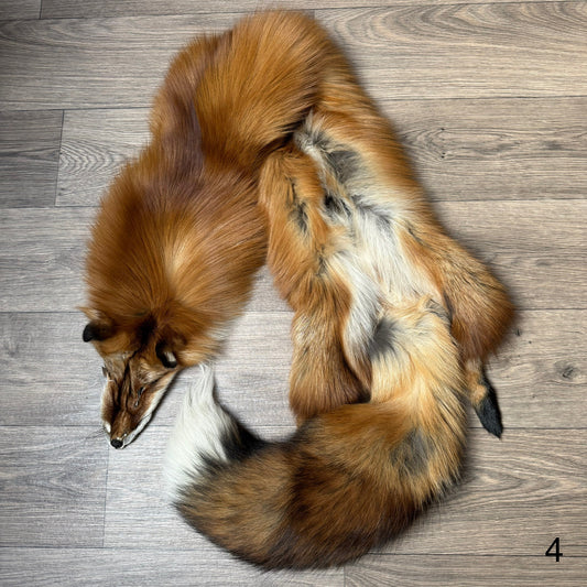 Gold fox pelt (4)
