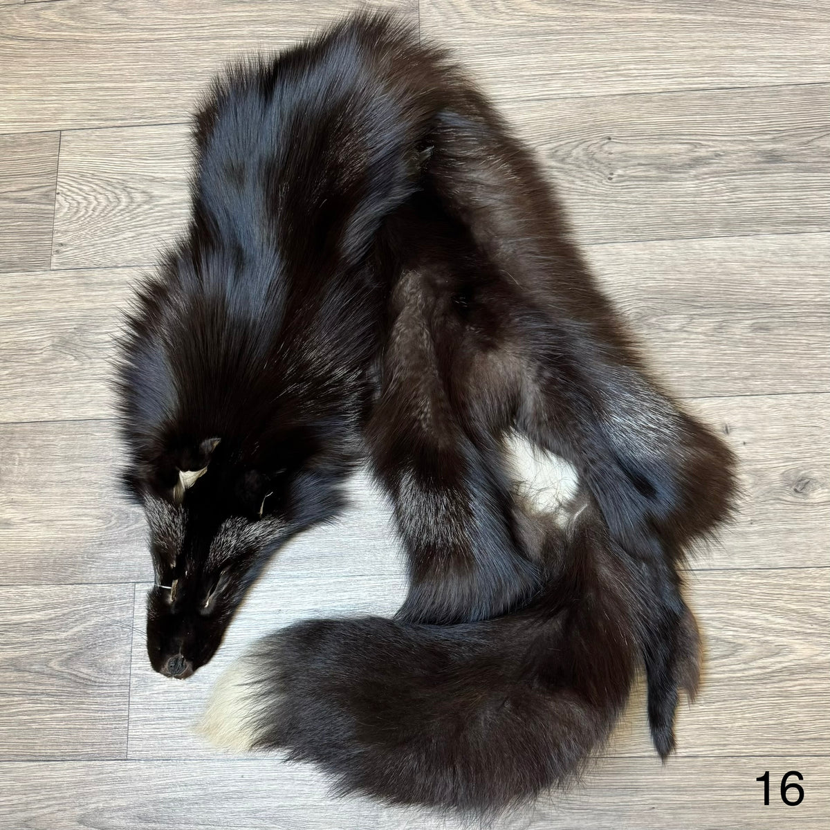Silver fox pelt (16)