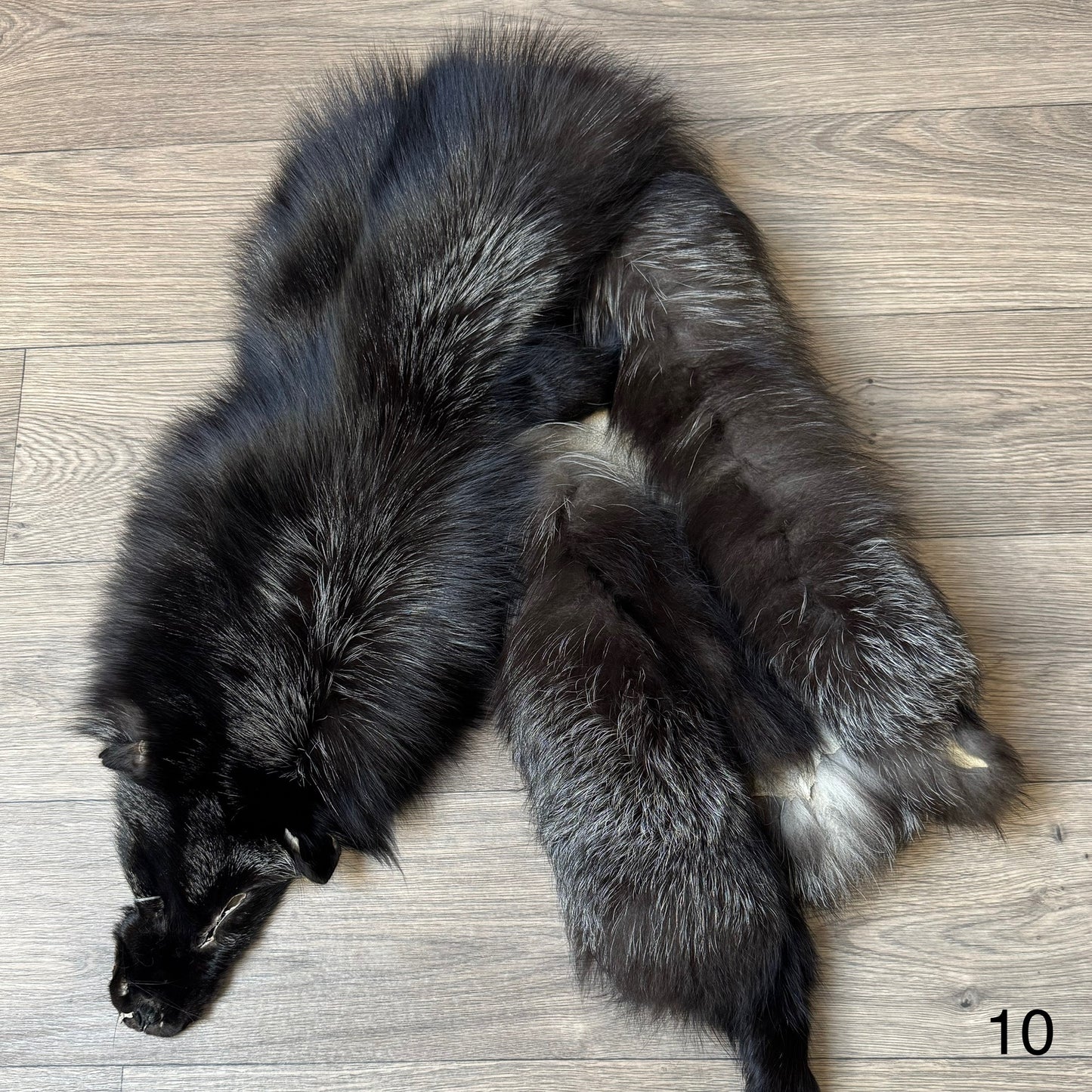 Silver fox pelt (10)