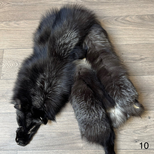 Silver fox pelt (10)