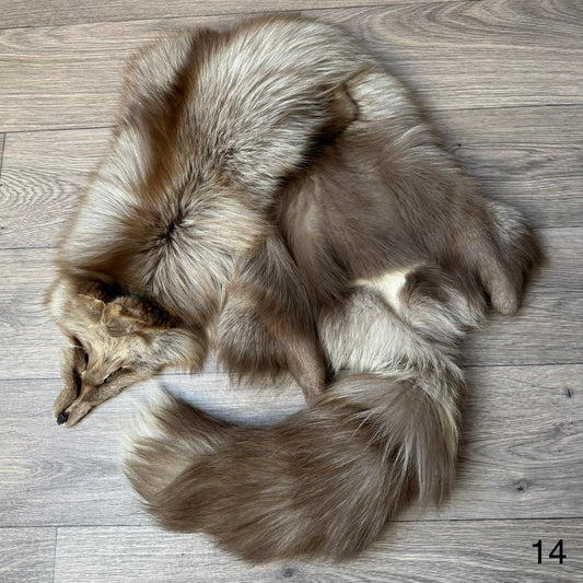 Polish Pastel fox pelt (14)