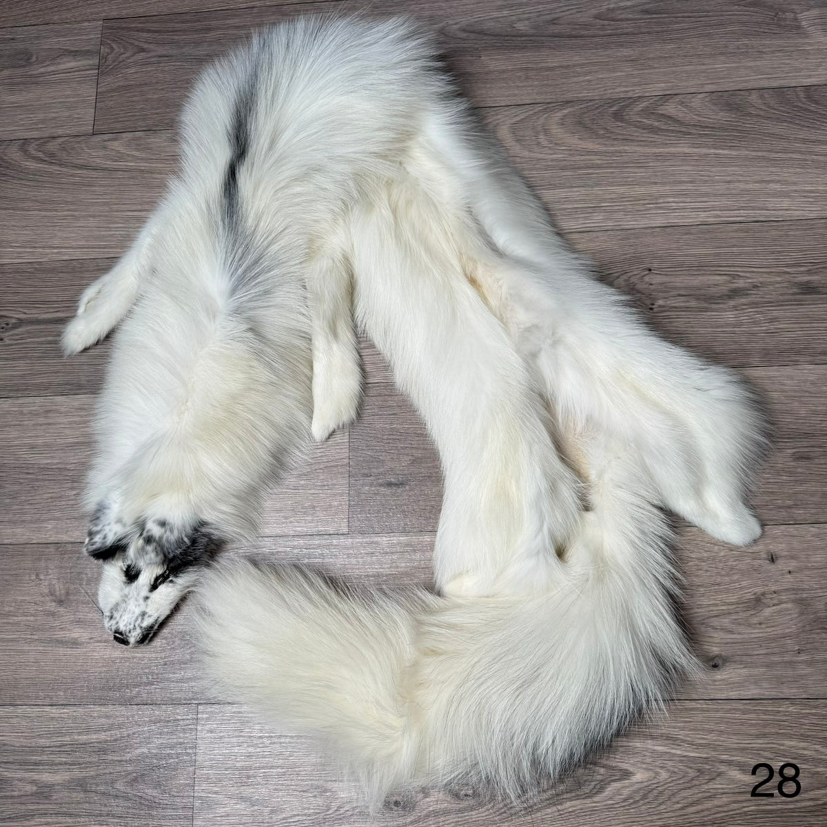 Arctic Marble fox pelt (28)