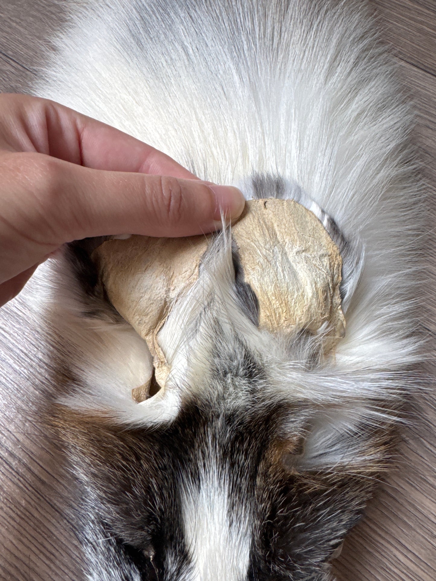 Cross Marble fox pelt (4)