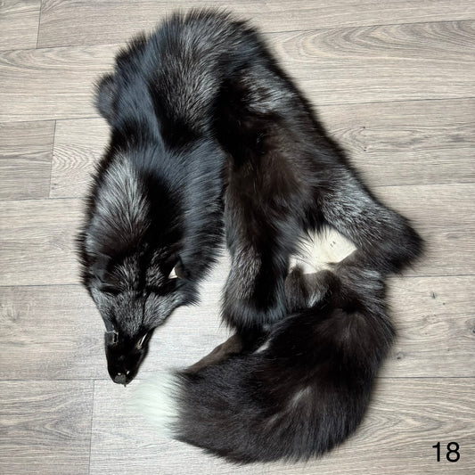 Silver fox pelt (18)