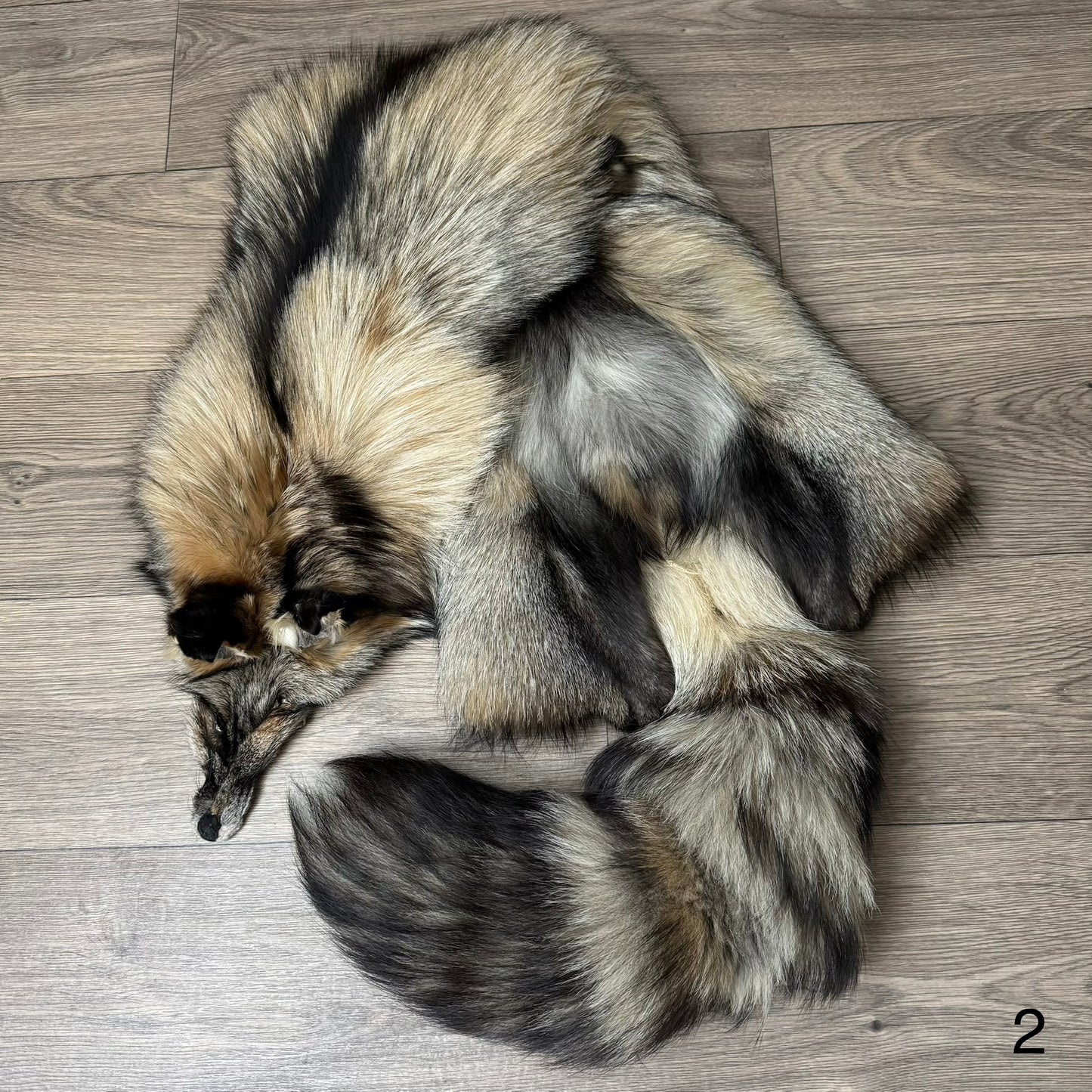 Smokey fox pelt (2)