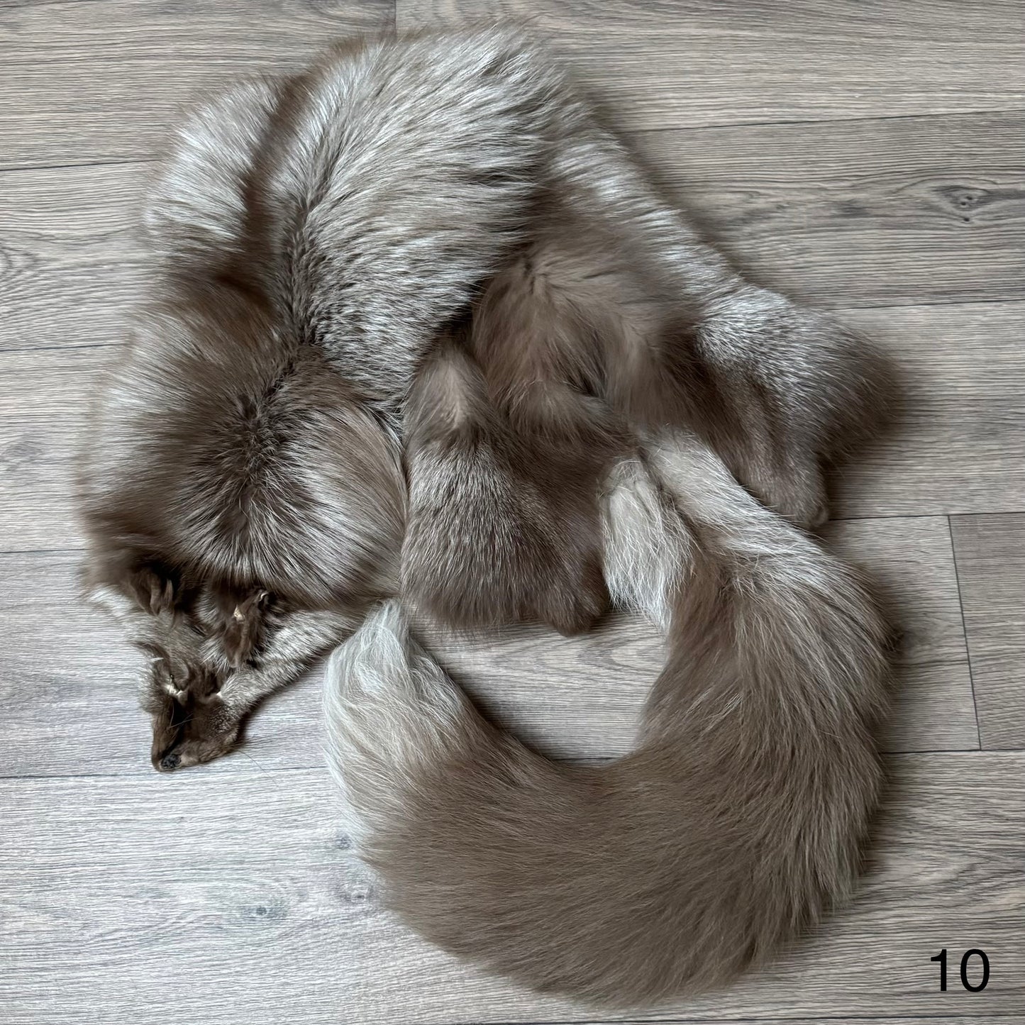 Polish Pastel fox pelt (10)