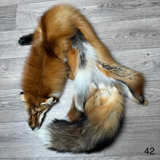 Gold fox pelt (42)