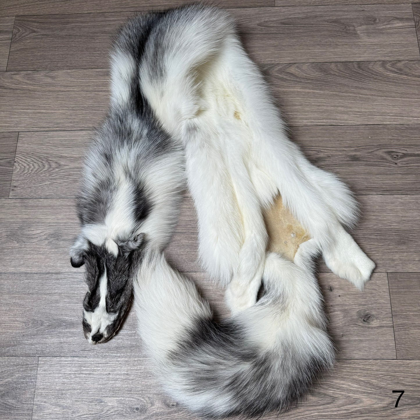 Marble Frost fox pelt (7) (extremely large pelt)