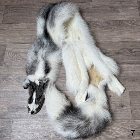 Marble Frost fox pelt (7) (extremely large pelt)