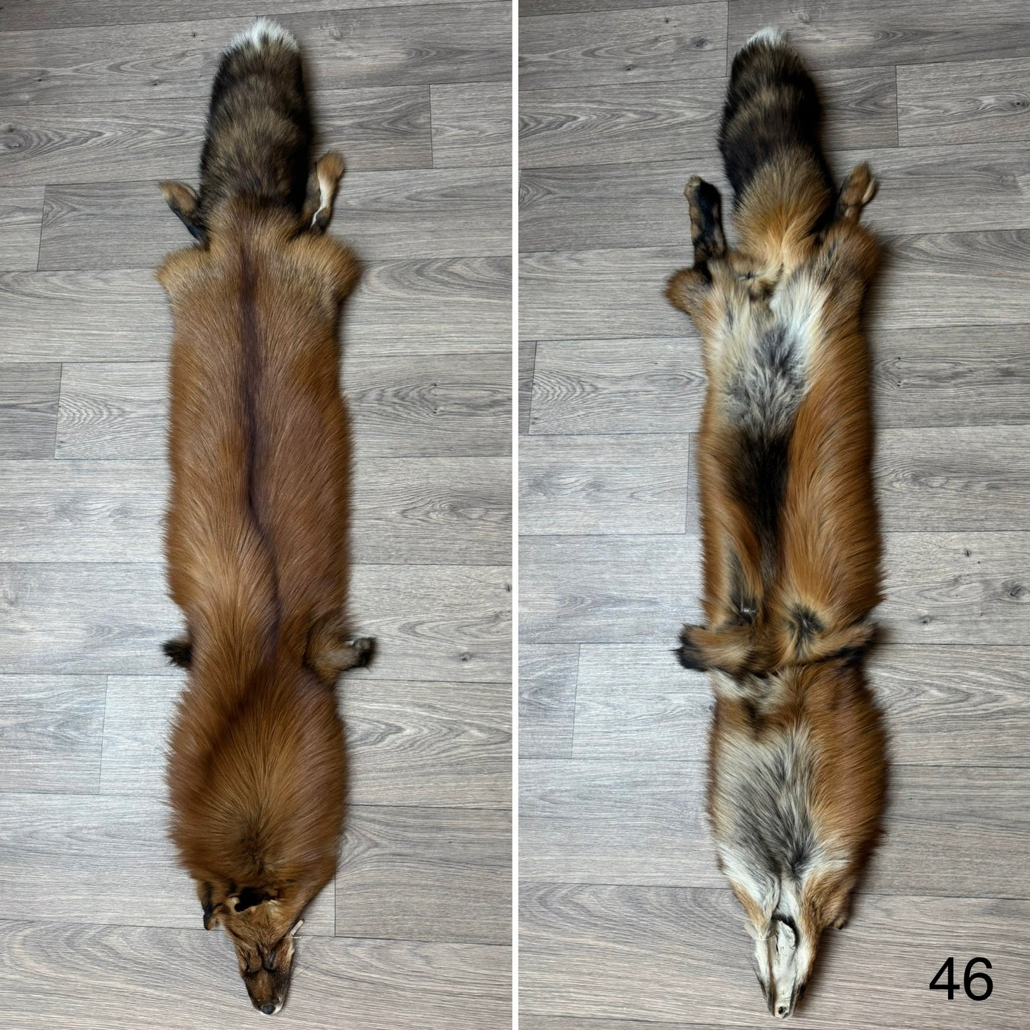 Gold fox pelt (46)