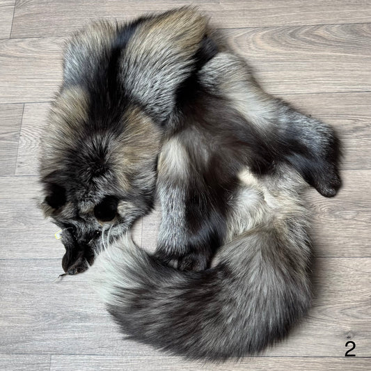 Cross fox pelt (2)
