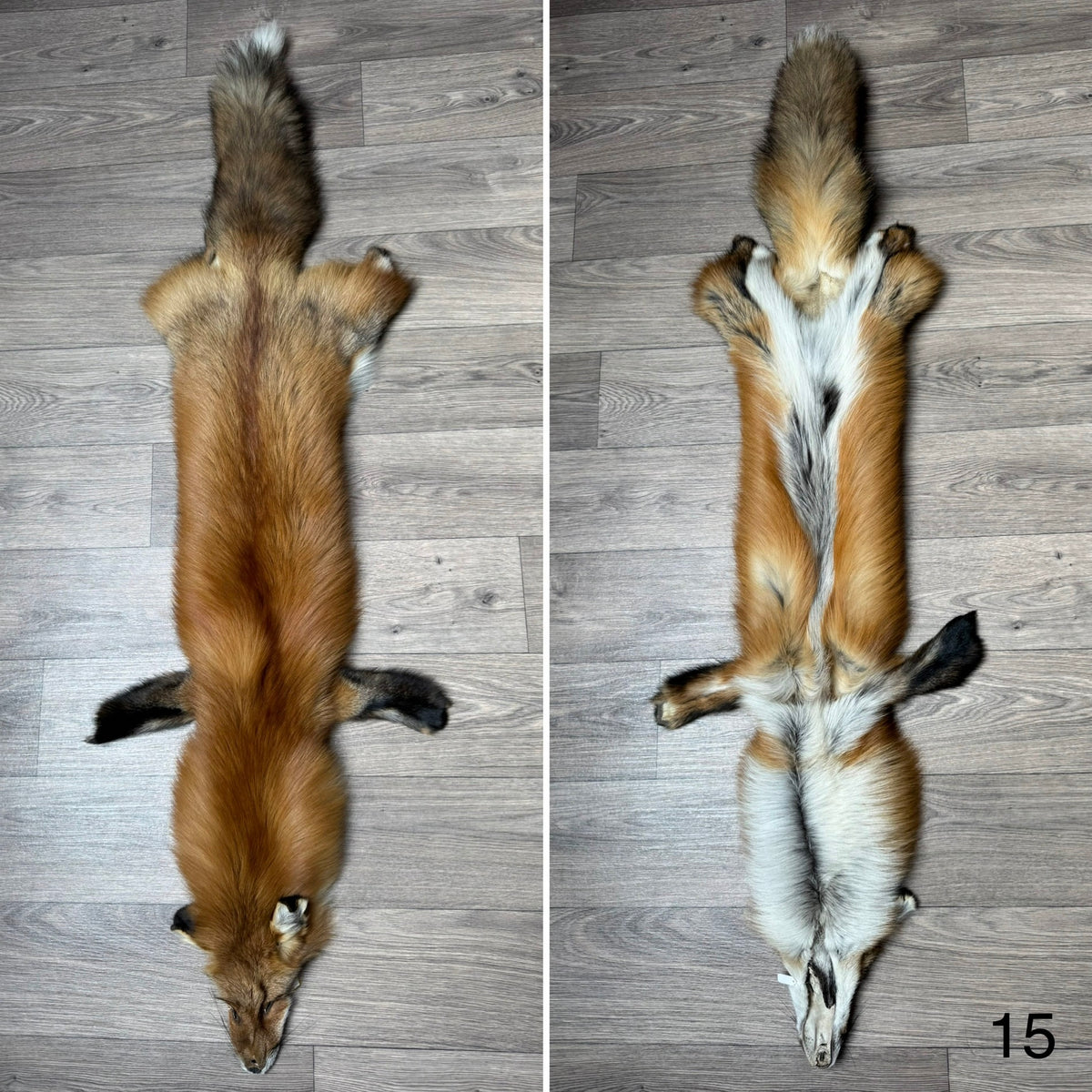 Gold fox pelt (15)