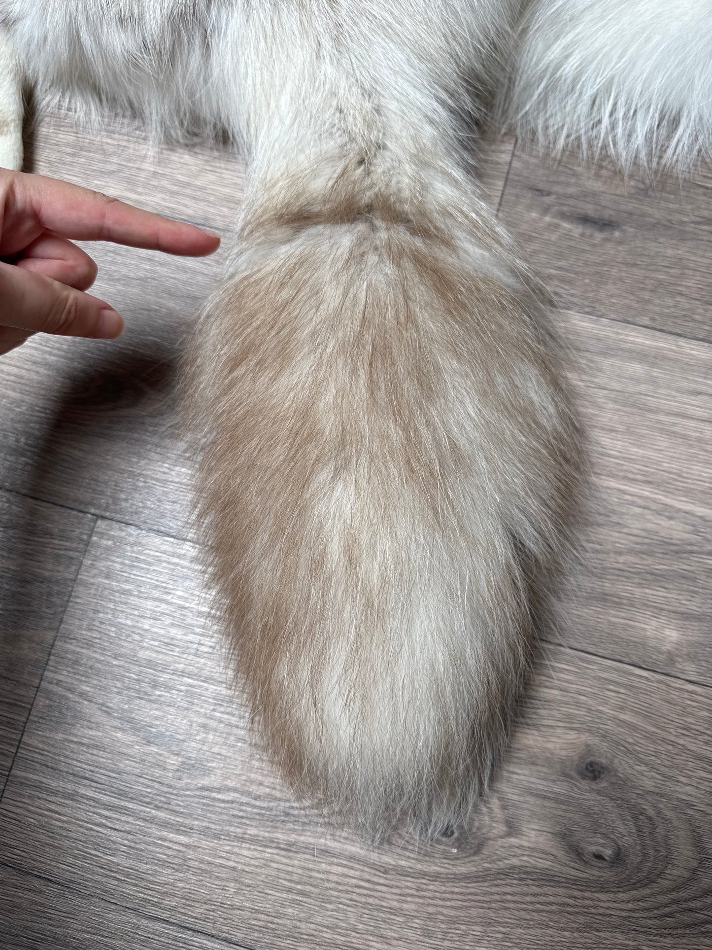 Smokey Snow Glow Whitemark fox pelt (3)