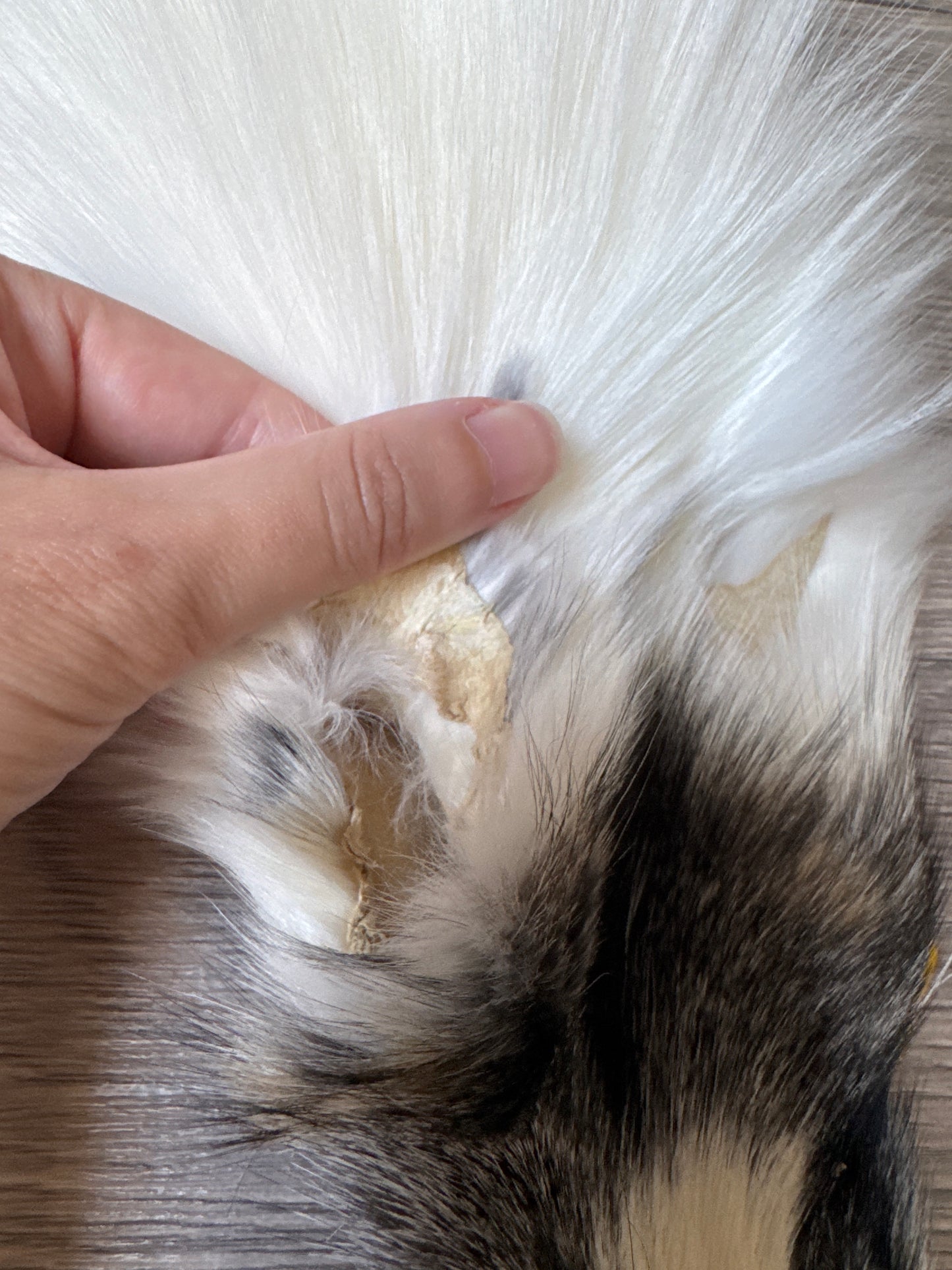 Cross Marble fox pelt (3)