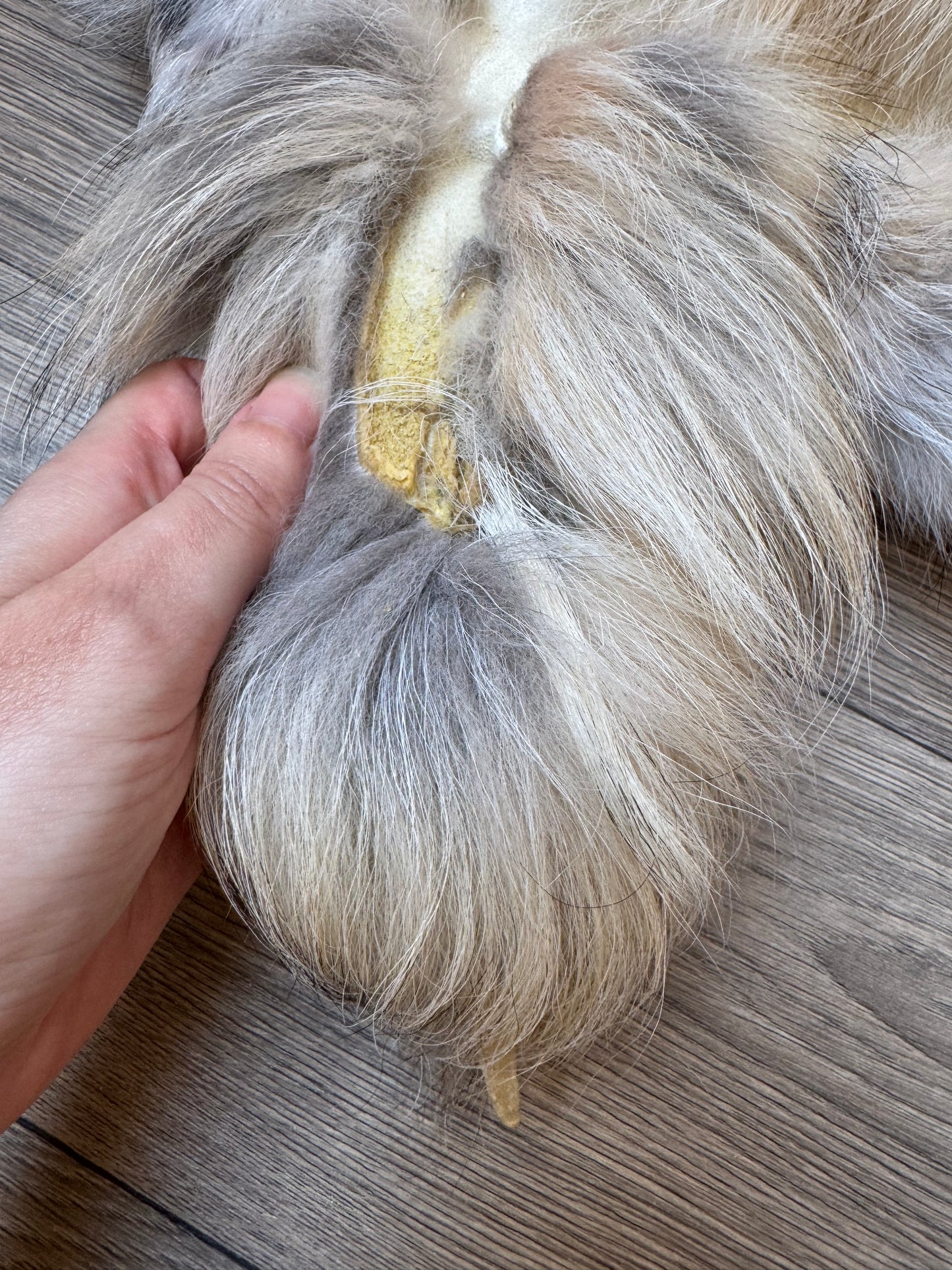 Marble tanuki pelt (17)