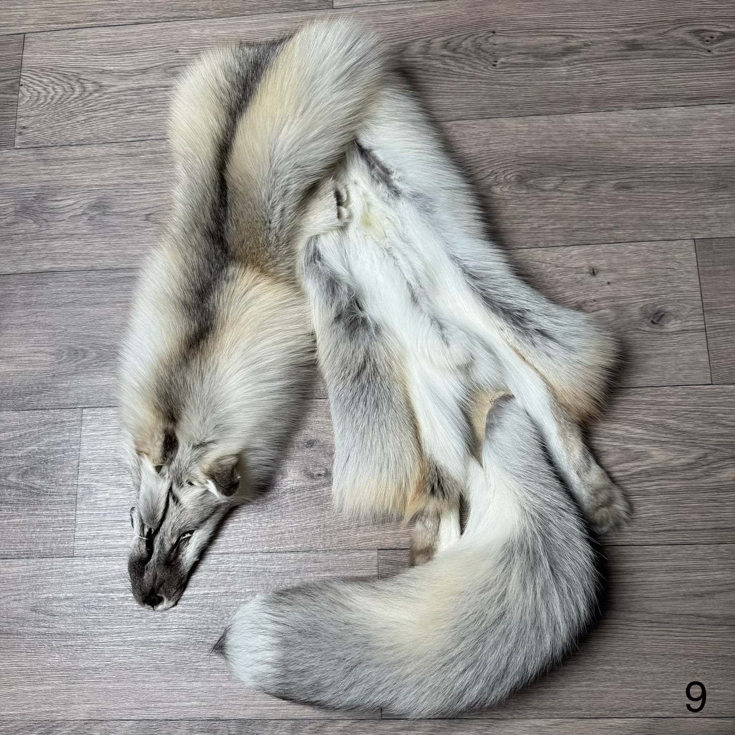 Fawn Light fox pelt (9)