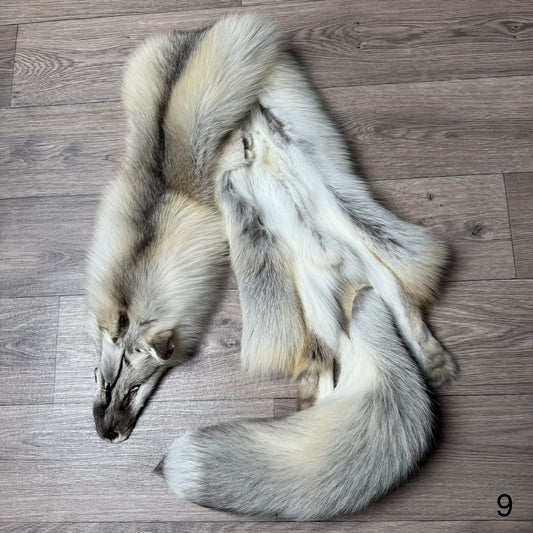 Fawn Light fox pelt (9)
