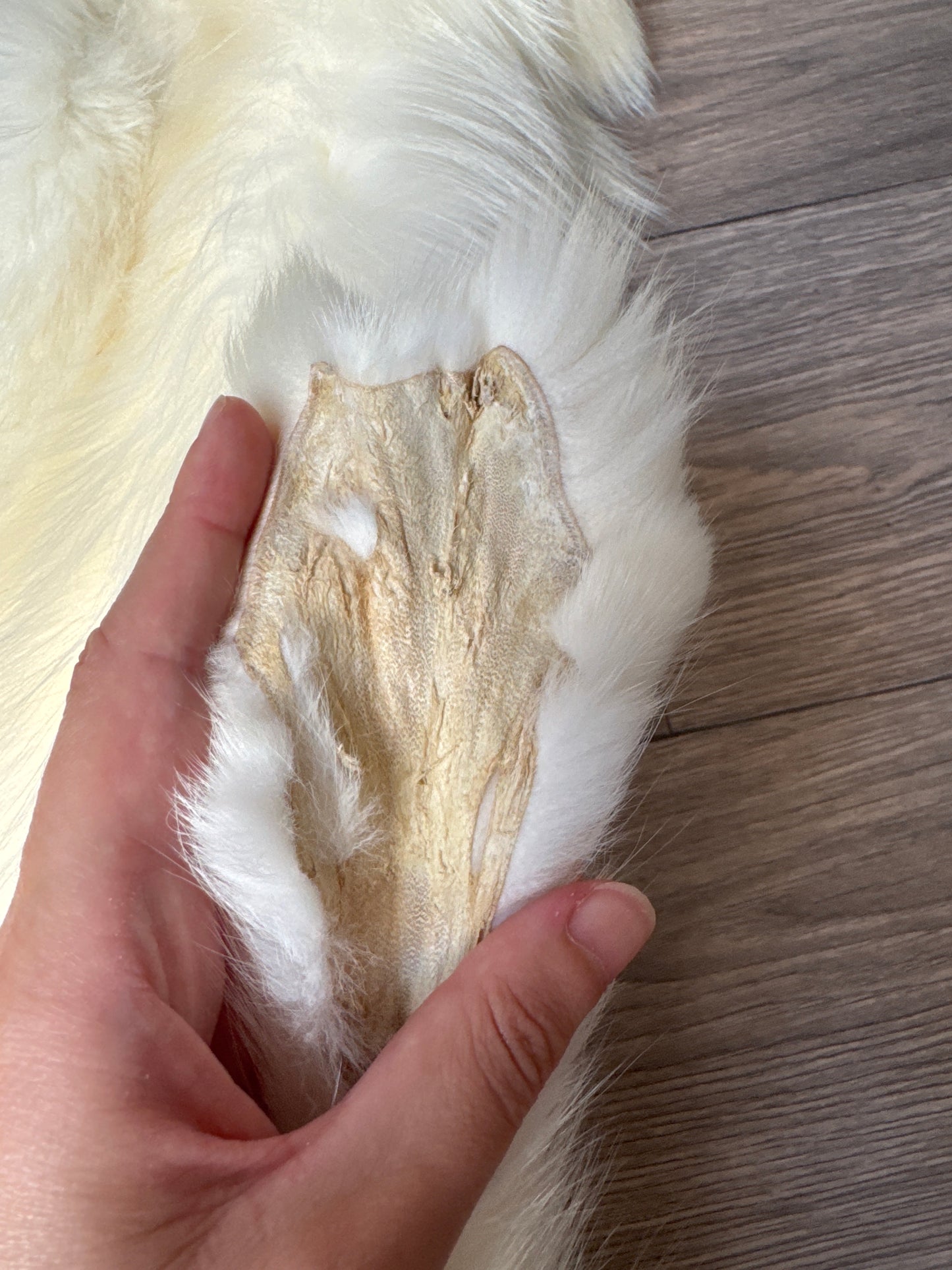 Cross Marble fox pelt (20)