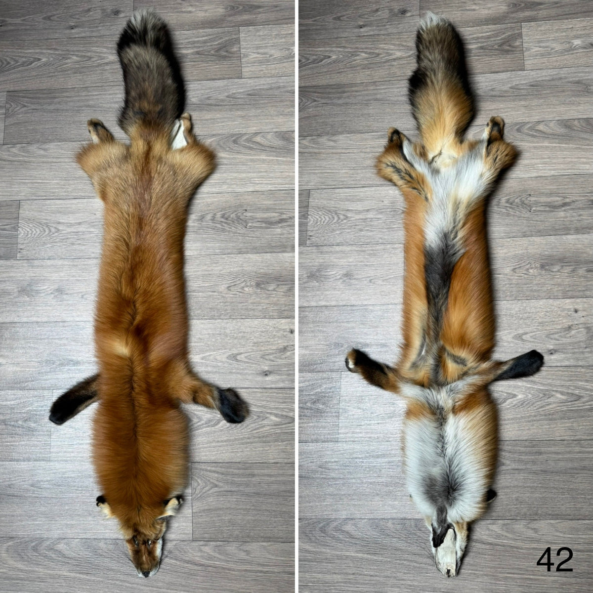 Gold fox pelt (42)