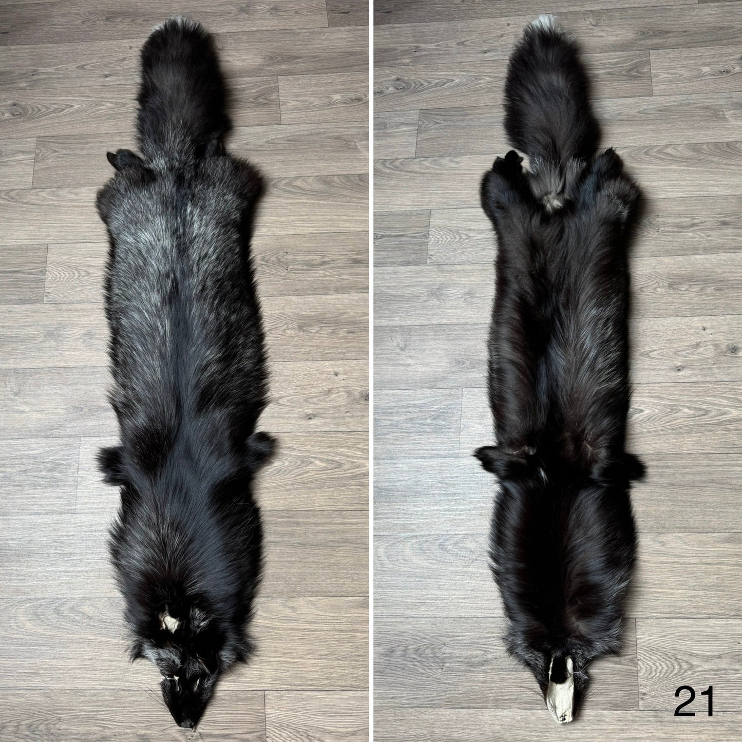 Silver fox pelt (21)