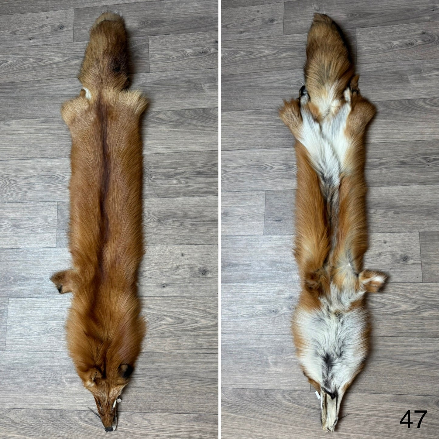 Gold fox pelt (47)