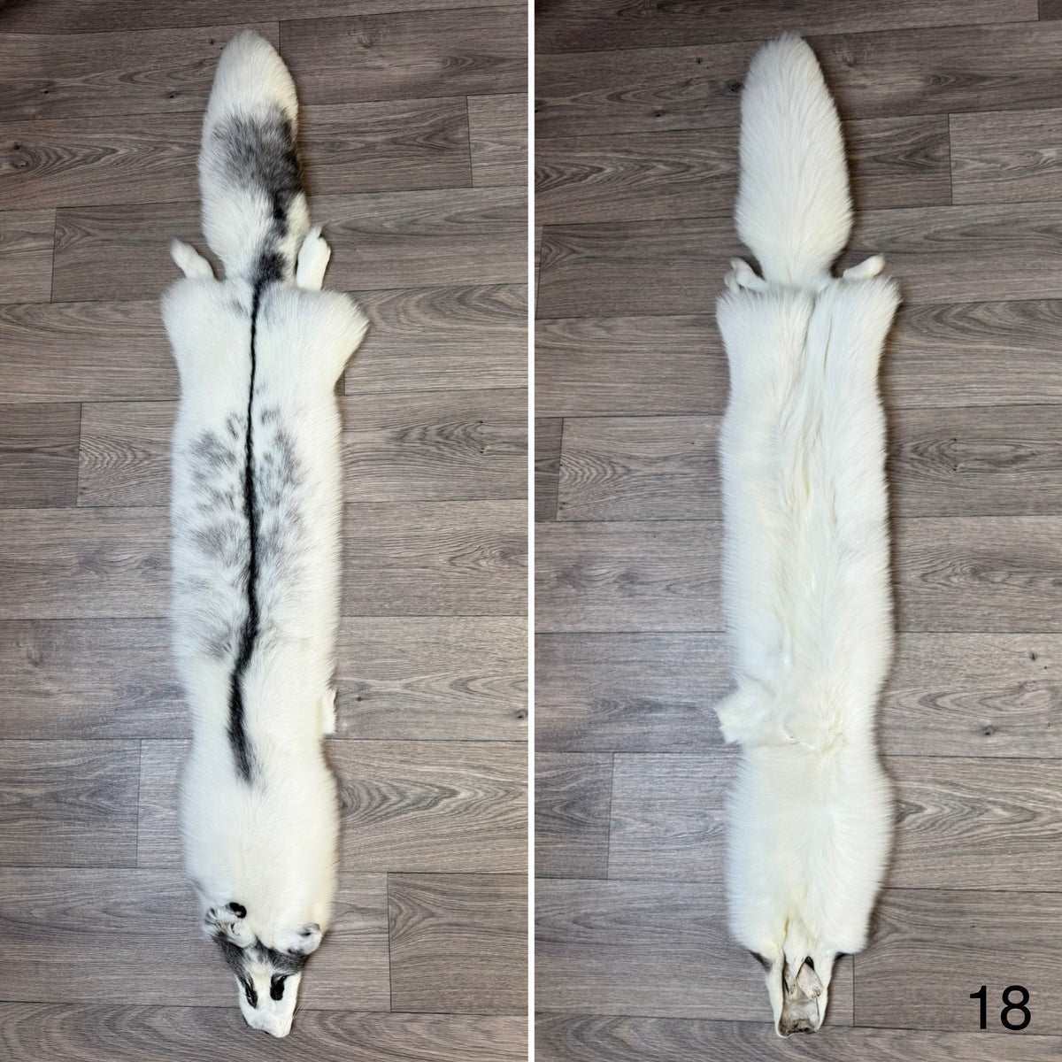 Marble Frost fox pelt (18)