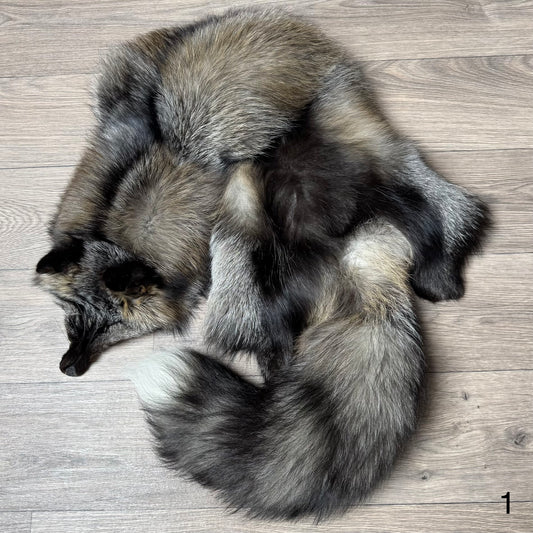 Cross fox pelt (1)