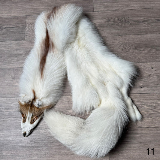 Sun Glow fox pelt (11)